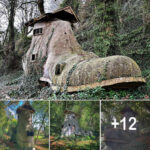 Old woman who lived in shoe nursery rhyme ‘proved real’ as boot house found in UK woods
