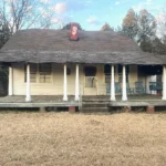 Timber Value Meets Wildlife Paradise – 60 Wooded Acres for $150,000