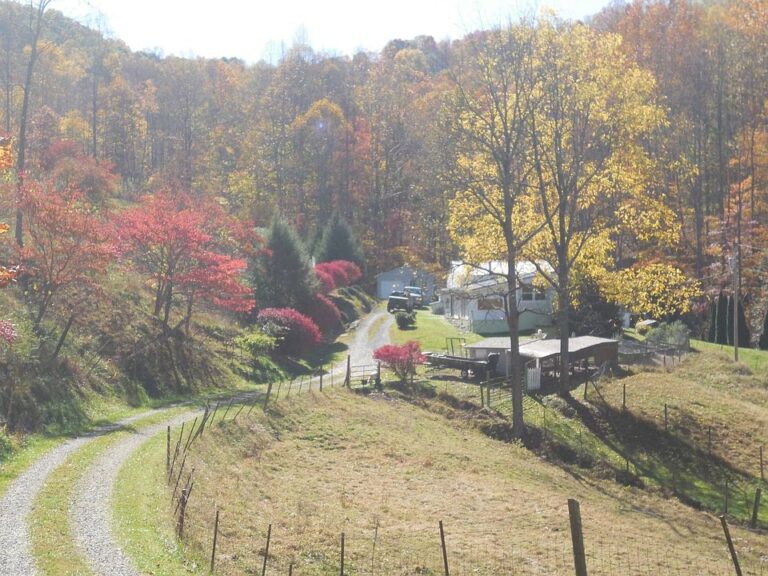 Total privacy! 120 riverfront acres in West Virginia. $398,000.