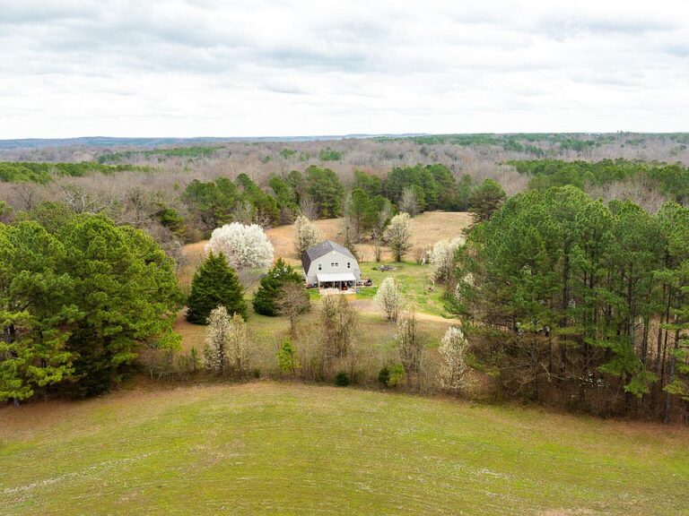 Total seclusion and a pond! Nearly 14 acres in Tennessee. $149,000.