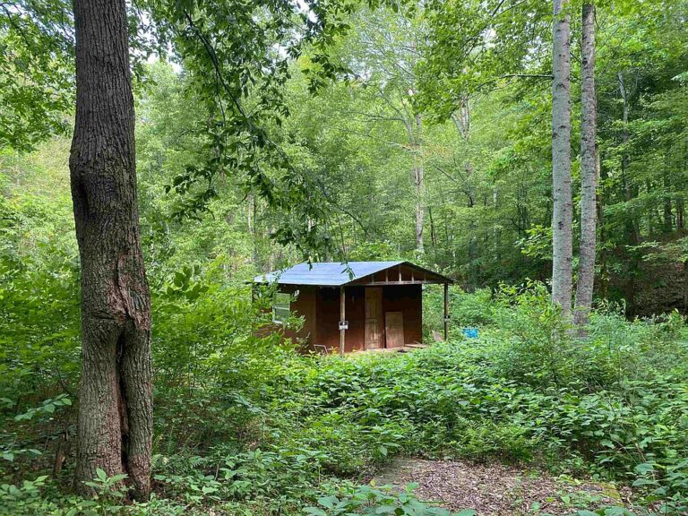 Check out the spring!! 15 wooded acres in Tennessee. $67,500.