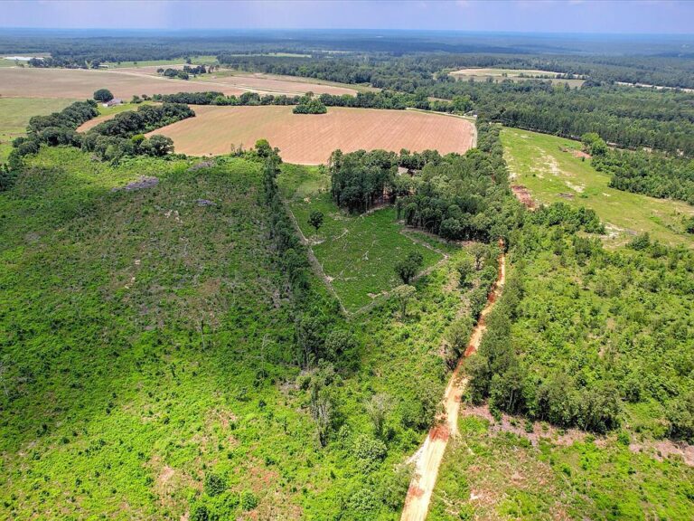 Check out the land!! Over 137 acres and a classic 1920s home in South Carolina. $1,250,000.