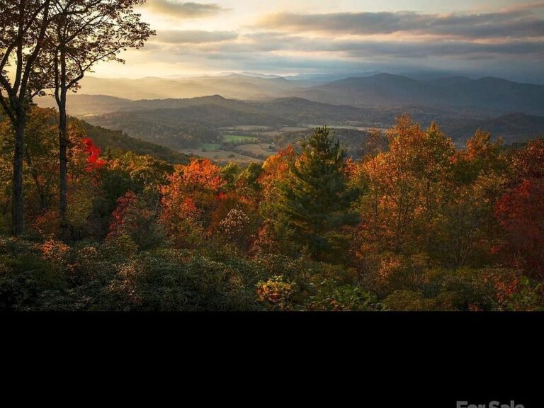 Unbelievable views! Over 8 private acres in North Carolina. $1,200,000.