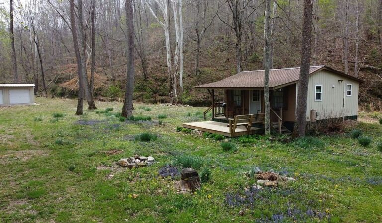 Pretty creek and cabin! Over 3 acres in Tennessee. Auction.