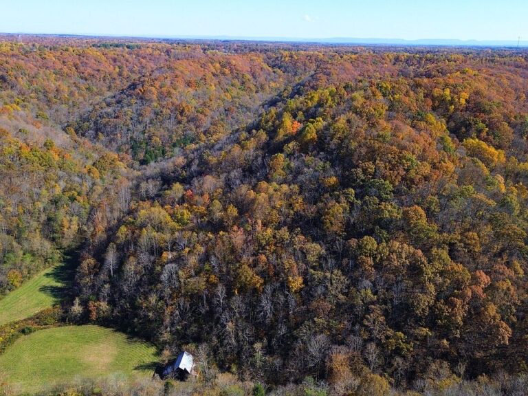 Multiple waterfalls and springs! 436 rolling acres in Tennessee. $1,399,000.