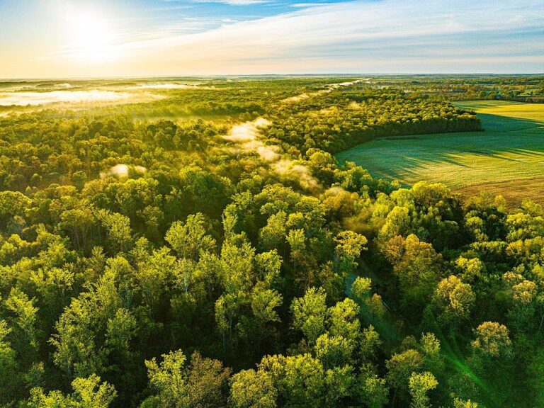 Massive hunting retreat! 780 acres and a huge lodge in Tennessee. $3,100,000.