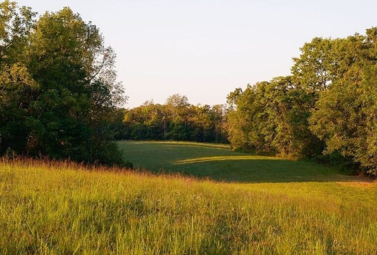 Pretty trails and rolling hills! C. 1900 farmhouse in Tennessee. $3,995,000.