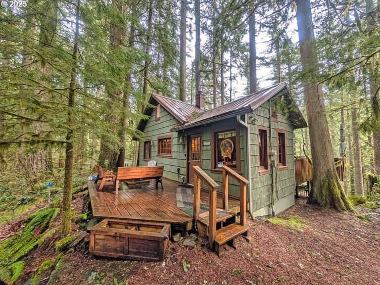 Pretty creek and setting! Original 1930s cabin in Oregon. $380,000.