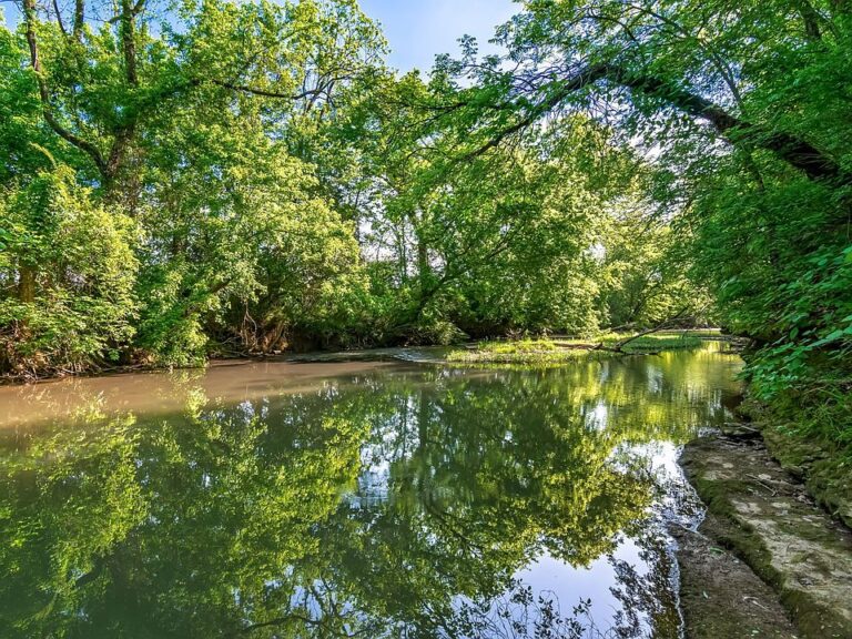 Large family home and over 5 acres! Quiet spot in Pulaski, TN. $1,178,000.