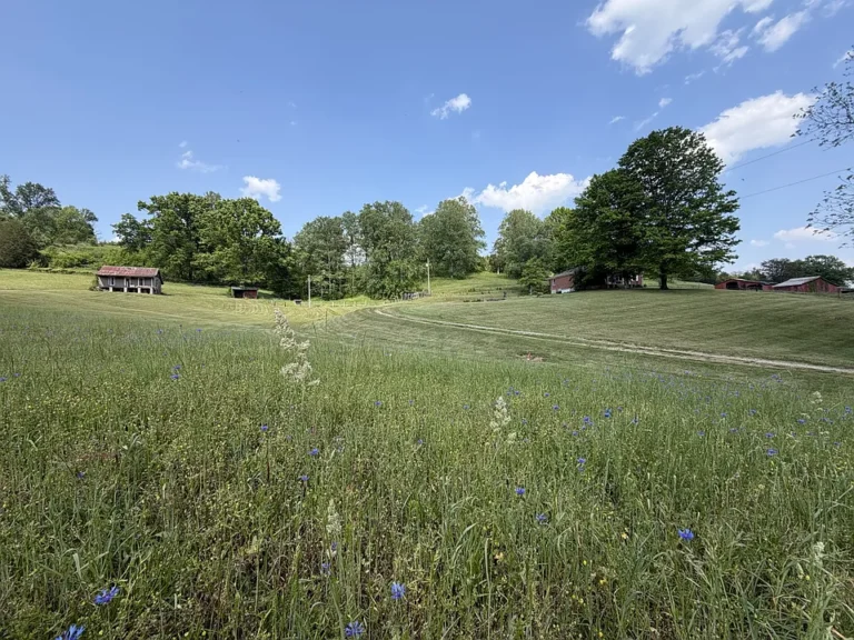 Great spot for a farm! Over 29 acres in Tennessee. $999,900.